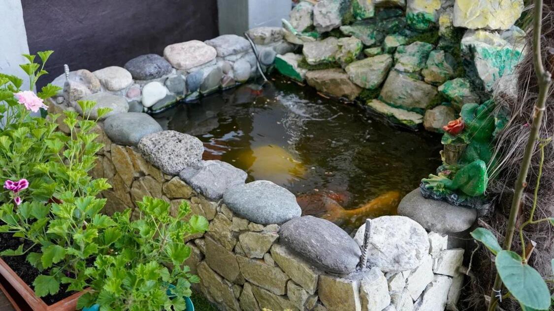 Вита Гагра エクステリア 写真